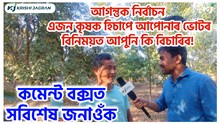 নিৰ্বাচনত ভোট বিচাৰি অহা প্ৰতিনিধিসকলক এজন কৃষক হিচাপে আপোনাৰ ভোটৰ বিনিময়ত কি বিচাৰিব