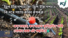 Drip Irrigation : ড্ৰিপ ইৰিগেশ্যন কি! ই কেনেদৰে সহায় কৰিব কৃষকক  Drip Irrigation : ড্ৰিপ ইৰিগেশ্যন কি! ই কেনেদৰে সহায় কৰিব কৃষকক