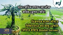 মিশ্ৰিত পদ্ধতিৰে  ধান আৰু ড্ৰেগনৰ খেতিৰে কৰিছে Double Income ডিব্ৰুগড়ৰ দুলেন গগৈয়ে 