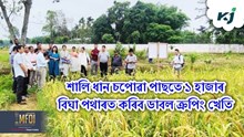 Double Cropping Farming : অসম কৃষি বিশ্ববিদ্যালয় যুগান্তকাৰী পদক্ষেপ