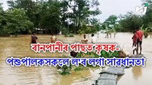  After Flooding : বানপানীৰ পাছত কৃষক-পশুপালকসকলে ল’ব লগা সাৱধানতা