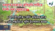 আগতীয়াকৈ খেতি কৰিবৰ বাবে এই পদ্ধতিৰে পুলি উৎপাদন কৰক 