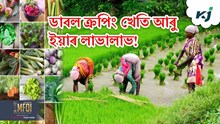 Double Cropping Farming : ডাবল ক্ৰপিং খেতি কি! আৰু ইয়াৰ লাভালাভ!