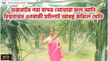 গুজৰাটৰ পৰা বান্দৰ নোখোৱা ফল আনি বিশ্বনাথত এগৰাকী মহিলাই আৰম্ভ কৰিলে খেতি