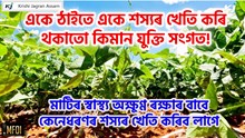একে ঠাইতে একে শস্যৰ খেতি কৰি থকাতো কিমান যুক্তি সংগত! একে ঠাইতে একে শস্যৰ খেতি কৰি থকাতো কিমান যুক্তি সংগত!