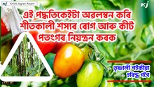 জৈৱিক পদ্ধতিৰে শীতকালীন শাক-পাছলিৰ ৰোগ আৰু কীট-পতংগৰ নিয়ন্ত্রণ