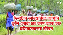 Tea Labour & Fact : দিনটোৰ আৰম্ভণিতে আপুনি তুলি লোৱা চাহ কাপ Tea Labour & Fact : দিনটোৰ আৰম্ভণিতে আপুনি তুলি লোৱা চাহ কাপ