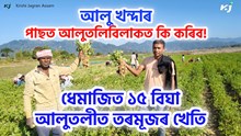 Watermelon Farming After Potato Harvesting : আলু খন্দাৰ পাছত আলুতলিবিলাকত কি কৰিব! Watermelon Farming After Potato Harvesting : আলু খন্দাৰ পাছত আলুতলিবিলাকত কি কৰিব!