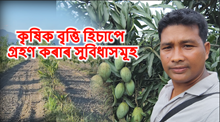 Profession as a farmer : কৃষিক বৃত্তি হিচাপে গ্ৰহণ কৰাৰ সুবিধাসমূহ