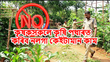 Farmer avoid this Work : কৃষকসকলে কৃষি পথাৰত কৰিব নলগা কেইটামান কাম Farmer avoid this Work : কৃষকসকলে কৃষি পথাৰত কৰিব নলগা কেইটামান কাম