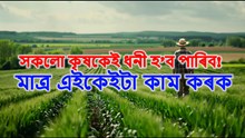 Rich Farmer : সকলো কৃষকেই ধনী হ’ব পাৰিব! মাত্ৰ এইকেইটা কাম কৰক Rich Farmer : সকলো কৃষকেই ধনী হ’ব পাৰিব! মাত্ৰ এইকেইটা কাম কৰক
