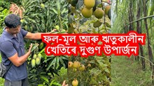 ফল-মূল আৰু ঋতুকালীন খেতিৰে দুগুণ উপাৰ্জন