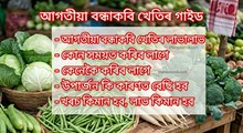 আগতীয়া বন্ধাকবি খেতিৰ লাভালাভ
