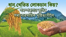 পৰম্পৰাগত কৃষিৰ পৰা ব্যৱসায়িক দৃষ্টিভংগীলৈ