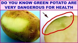 Green potatoes and its health effects