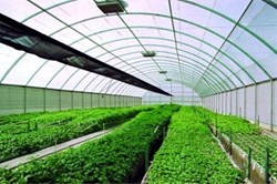 All the detaila to know about polyhouse