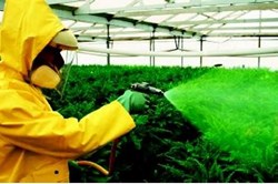 6 Chemical banned to use in farming