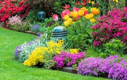 Commercial garden of flowers