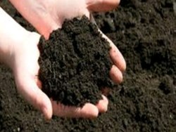 how to make bio fertilizer in assamese