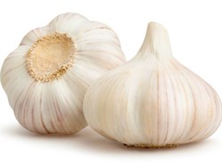 Know all about the garlic cultivation in assamese