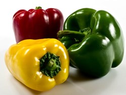 Capsicum bussiness in Assam know all details here