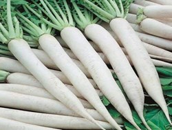 Benefits of Eating Radish