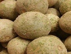 Benefits of Wood apple