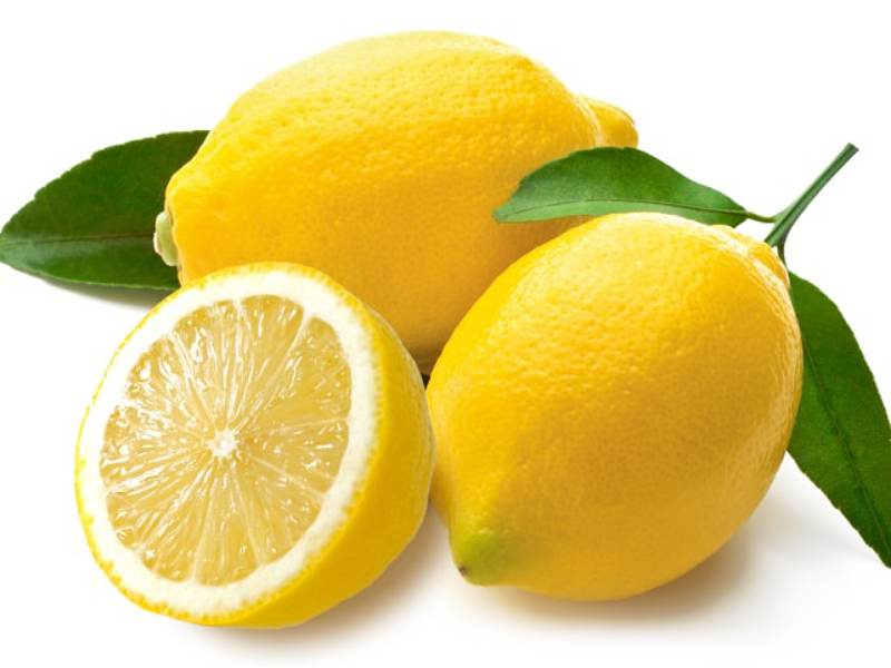 Lemon Cultivation