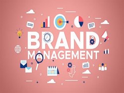 Brand management course