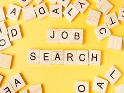 Some important points to searching a job