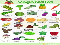 Vegetable names in English