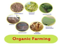 Organic farming: way of progress