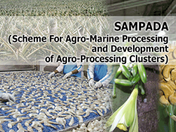 Scheme for Agro-Marine Produce Processing and Development of Agro Procsssing Clusters