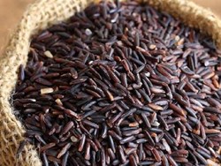 Black rice- most profitable cultivation for farmers.