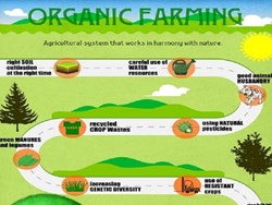 Some important information about Organic Farming