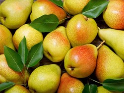 Benefits of Pear