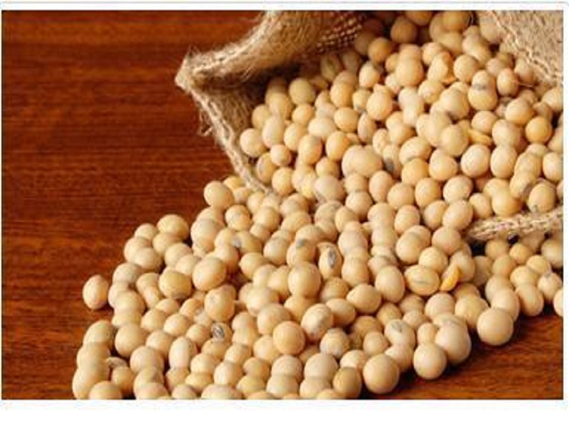 Soybean instead of pulses