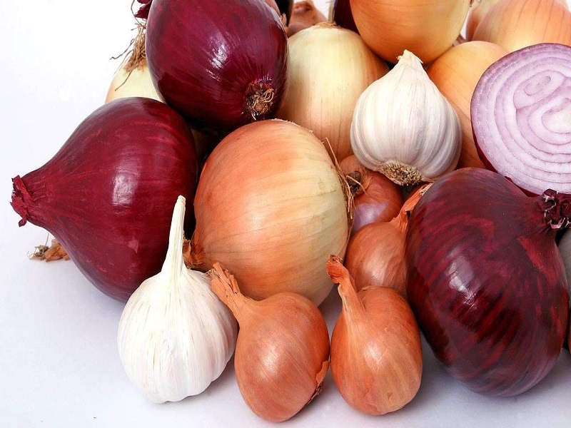 History of Onion and Garlic