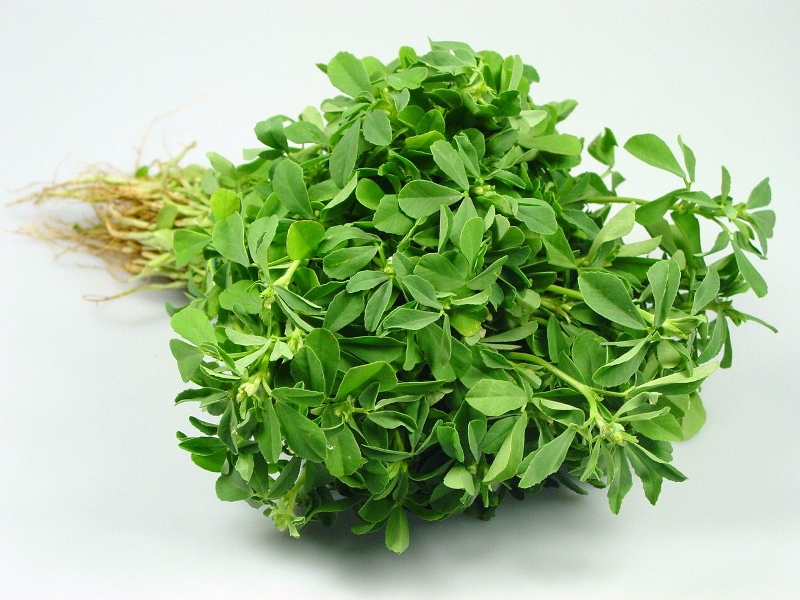 Benefits of Methi