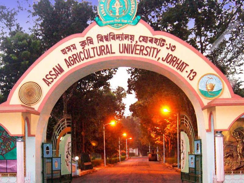 Assam agricultural University invited applications for various posts from eligible candidates