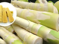 Health benefits of bamboo shoots in assamese krishi jagran