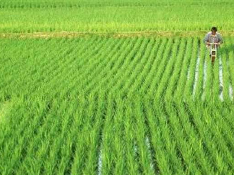 PM Kisan yojana PM Kisan yojana
