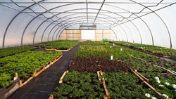 green house and types of farming know here (1)