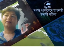 A success story of Assam woman ranjita Saikia Farming fishery since 15years