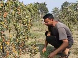 A successful story of youth South salmara district in Assam