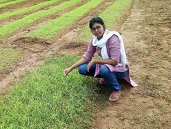 pooja bharati who studied from iit quits rs 22 lakh job to start farming