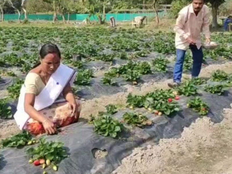Farmer Parmeshwar Deka and his wife