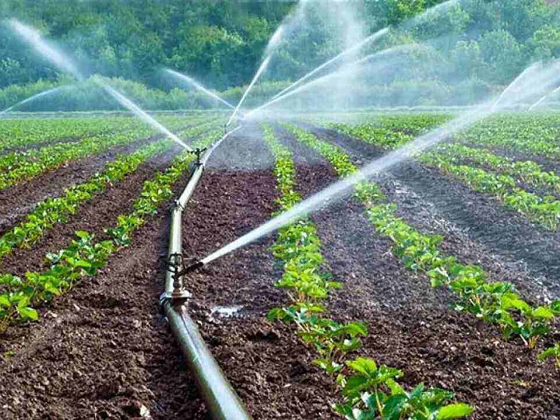 Irrigation system in Farming field Irrigation system in Farming field