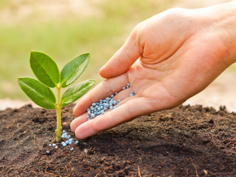 Bio-fertilisers bussiness Bio-fertilisers bussiness
