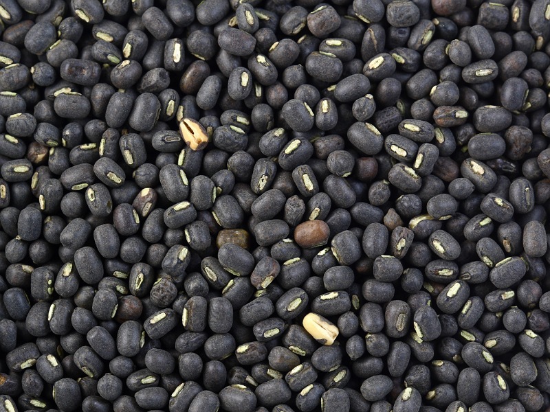 Black Lentil (Mati Mah)